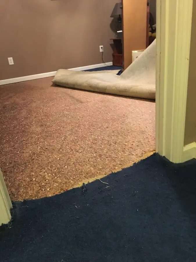 Carpet pad removal revealing water damage during Water Mitigation Services in Medford